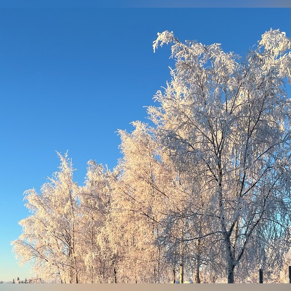 ✨Stay tuned for upcoming shows, pop-ups, and specialties shows!✨ - Picture 8 of 9